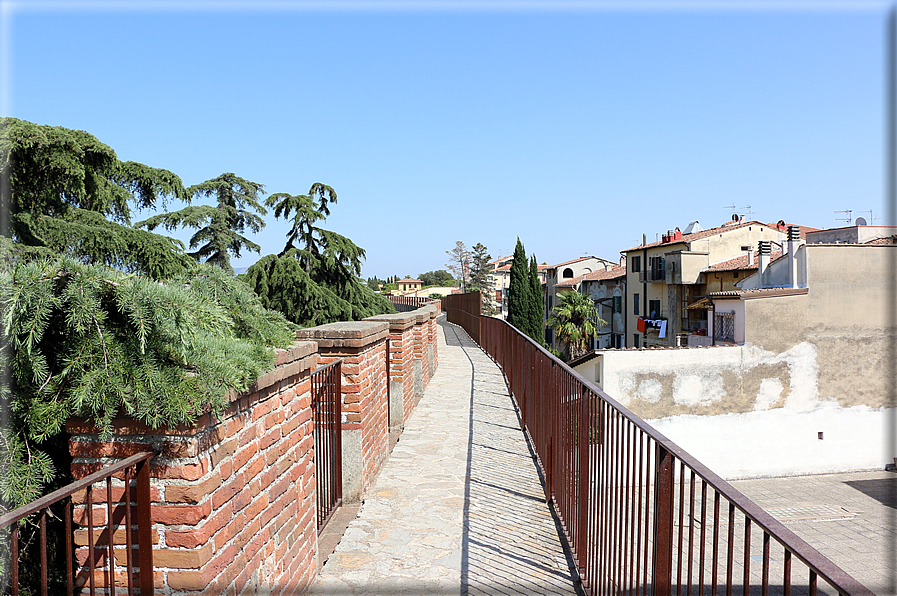 foto Camminamento delle mura di Pisa